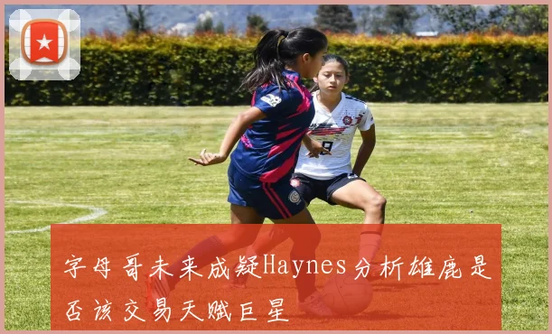 字母哥未来成疑Haynes分析雄鹿是否该交易天赋巨星