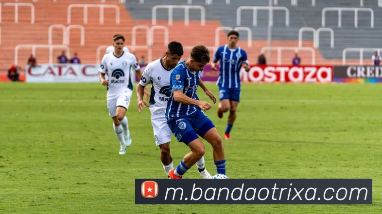 半岛体育服务体系