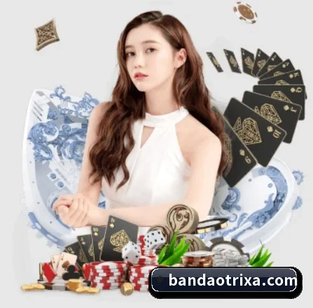 半岛体育 APP